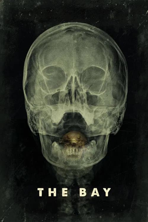 ყურე (2012)