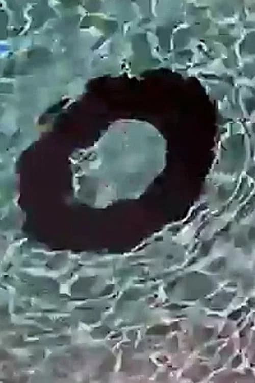 Donut (2006)